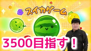 【初見さん大歓迎】今日こそ3500点！参加型オンライン対戦もぜひ【スイカゲーム】 [upl. by Atiuqehc]