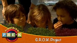 GROW Project  Virtual Field Trip  KidVision PreK [upl. by Edwin698]