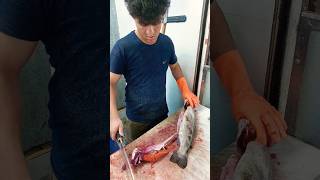 How To Fillet a Whole Salmon  Salmon Fish Cutting [upl. by Ebaj]