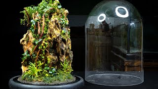 Millipede Mountain Cloche Terrarium [upl. by Shamus]