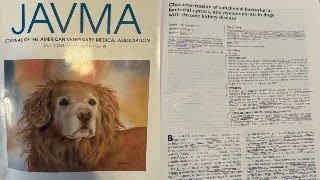 Subclinical bacteria bacterial cystitis and pyelonephritis in dogs with chronic kidney disease [upl. by Avah]