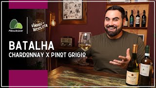 BATALHA DE VINHOS Chardonnay x Pinot Grigio [upl. by Bigelow]