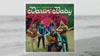 Darlin Baby  The Sheepdogs Visualizer [upl. by Anua]