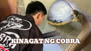 TRESPASSING NA COBRA NANGAGAT PA cobraprince [upl. by Eimmak]