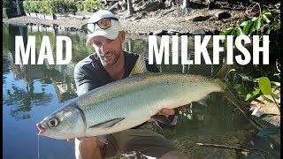 I caught this Milk fish in a Small Pond [upl. by Hump227]