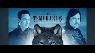 Mix Los Temerarios 2024 [upl. by Nolos]