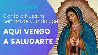 Aquí vengo a saludarte Novenario serenata o mañanitas  Canto a la Virgen de Guadalupe [upl. by Inger962]