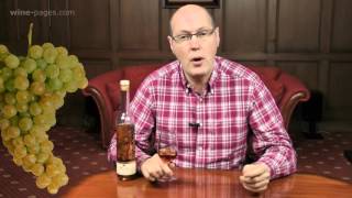 Torres Floralis Moscatel Oro NV wine review [upl. by Neltiak477]