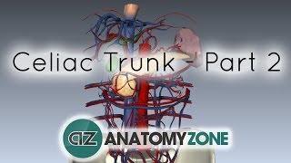 Celiac ArteryTrunk  Part 2  Anatomy Tutorial [upl. by Intihw]