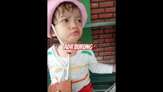 Ada burungcutechild cute funny cutetoddlerfunnychild lucu love happy life daily dailyvlog [upl. by Ellenaej91]