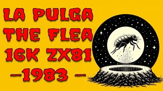 La Pulga The Flea on the 16K ZX81 by Paco Suarez [upl. by Shayna485]