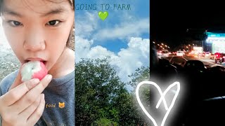 province vlog in the philippines • travel vlog convenience store 💜🌲 [upl. by Rohn]