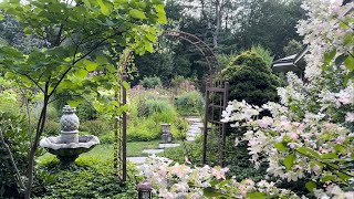 Panicle Hydrangeas amp more… August 15 2023 [upl. by Azirb764]