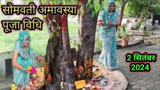 2 सितंबर 2024 somvati Amavasya Pooja  सोमवती अमावस्या की सरल पूजा विधि नियम जानें फेरी कैसे लगाएं [upl. by Ettebab]