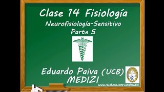 Clase 14 Fisiología  Neurofisiología Sensitivo 5 IGdoctorpaiva [upl. by Oinota]