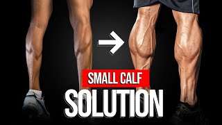 How To Get Bigger Calves The Best Training Program And Techniques [upl. by Eyma]