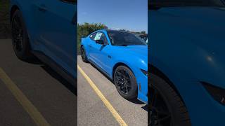 2024 Grabber Blue Mustang GT Performance Package with midnight pony package looks so beautiful [upl. by Elocen]