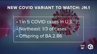 CDC reports JN1 COVID19 subvariant spreading quickly [upl. by Rivkah32]