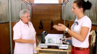 Equine Shock Wave Therapy the Masterpuls overview [upl. by Plate]