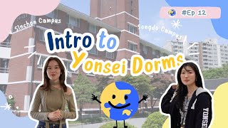 EP12 🏠All about Yonsei dormitories in Sinchon amp Songdo  Yonsei International Student Guide [upl. by Aynos]