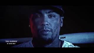 Chicago Cubs 2019 Take the Field Video [upl. by Joachima]