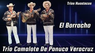 El Borracho Trio Camalote De Panuco Veracruz [upl. by Lilaj]