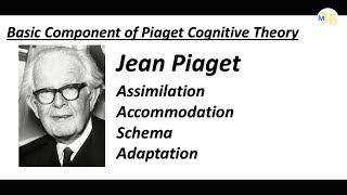 Basic Component of Piaget Theory  Schema  Assimilation  Adaptation  Accommodation  CTET [upl. by Willin]