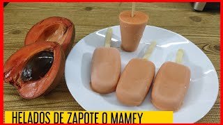 HELADOS DE ZAPOTE  HELADOS DE MAMEY  DELICIOSOS HELADOS CASEROS CREMOSOS DE ZAPOTE [upl. by Ahtnicaj]