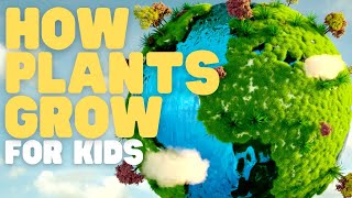 How Plants Grow for Kids  Learn about photosynthesis and what plants need to grow strong [upl. by Johst]