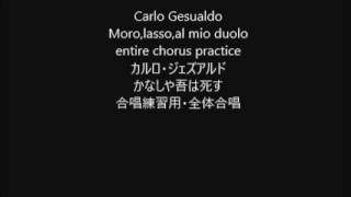 Carlo Gesualdo Morolassoal mio duolo entire chorus practice [upl. by Leonor]