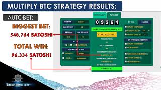 Freebitcoin Auto Bet Hi Lo 100 Winning Rate Strategy [upl. by Agemo351]