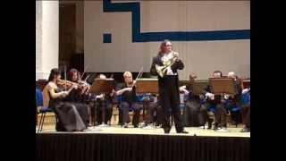 WA Mozart Horn Concerto No 1 D Major KV 412 Dariusz Mikulski amp Sudeten Filharmonie [upl. by Jard]