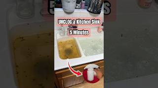 How To Unclog a Kitchen Sink in 5 Minutes Snaking a kitchen sink drainshorts asmr diy kitchen [upl. by Allbee]