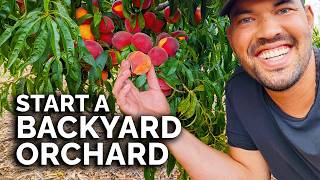 How to Start a Backyard Orchard COMPLETE GUIDE [upl. by Romeo799]