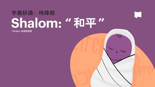 和平  Shalom 【字義研讀】 [upl. by Issiah760]