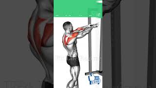 5 Best Resistance Band Shoulder Exercises for Bigger Stronger Delts [upl. by Amikan]