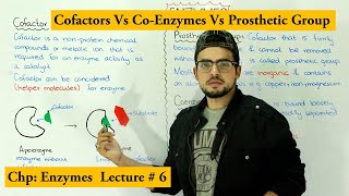 Enzymes Cofactors  Coenzyme vs prosthetic group  Apoenzyme Vs holoenzyme [upl. by Giardap464]