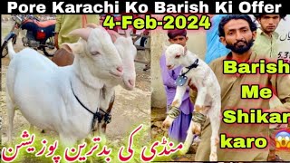 Lalukhet bakra mandi Me Qurbani 2024 Ka Bakra  4Feb2024 Lalukhet Bakra Mandi  Bakra mandi 2024 [upl. by Yellek126]