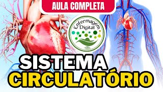 SISTEMA CIRCULATÓRIO  AULA COMPLETA  SISTEMA CARDIOVASCULAR [upl. by Silvio]