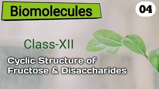 Biomolecules L04Class 12thCyclic structure of Fructose amp DisaccharidesSpartan SirChemistry [upl. by Donovan]