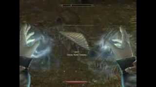 Rare Monster Fights on Skyrim  Episode 1  Chaurus Hunter Fledgling [upl. by Dorran659]