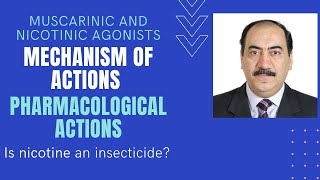 Mechanisms amp pharmacological actions of muscarinic amp nicotinic agonists [upl. by Warms]