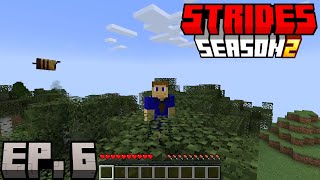 Starting Over Strides SMP S2 Ep 6 Multiplayer Minecraft [upl. by Mandler]