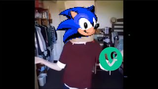 Sonic characters as vines [upl. by Lekar]