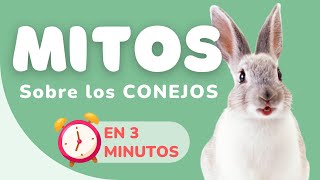 7 MITOS comunes sobre los CONEJOS [upl. by Basir]