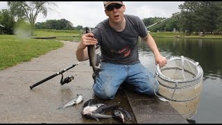 How to catch catfish with worms  fishing for catfish in a lake [upl. by Yelehsa484]