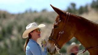 2024 Chrome in the Canyon Premier Mule Sale Recap [upl. by Sherr]