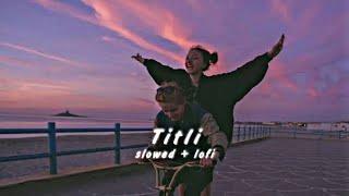 Ban ke Titli dil uda lofi song slowed reverb titli songlx lofi [upl. by Limann]