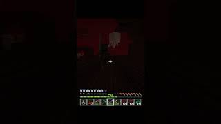 Attack on Weather Skeleton minecraft [upl. by Llertnom]