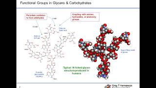 Addressing the Challenges of Bioconjugation for Improved Crosslinking and Modification [upl. by Neelear]